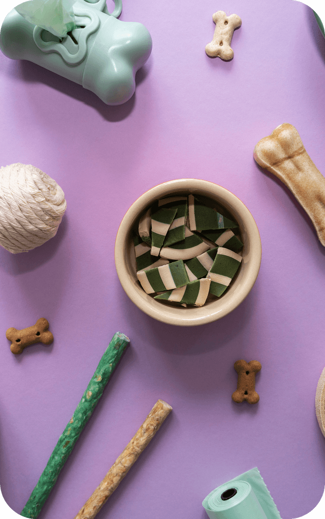 Pet accessories and products